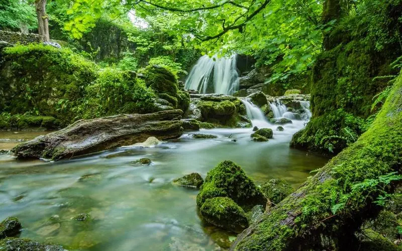 科技高效科技